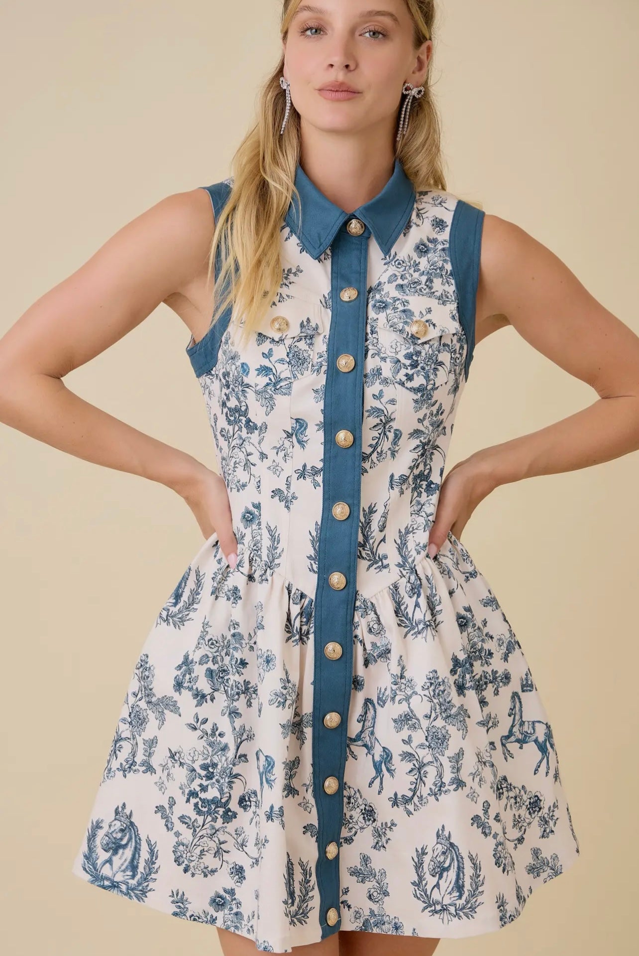 Taylor Vintage Horse Toile Print Denim Mini Dress